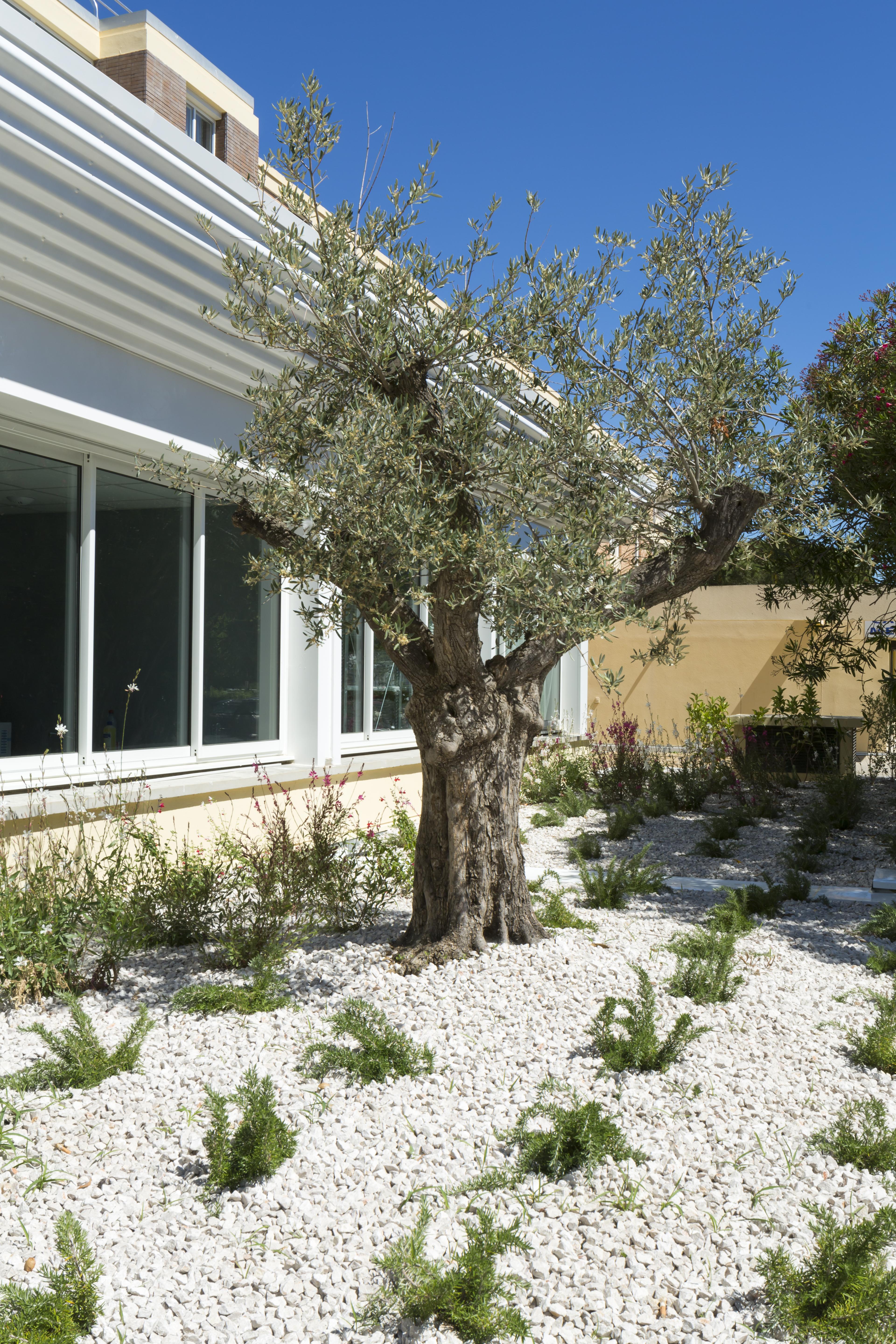 Logis Hotel Les Pins - Operalia Balaruc-les-Bains Exterior photo