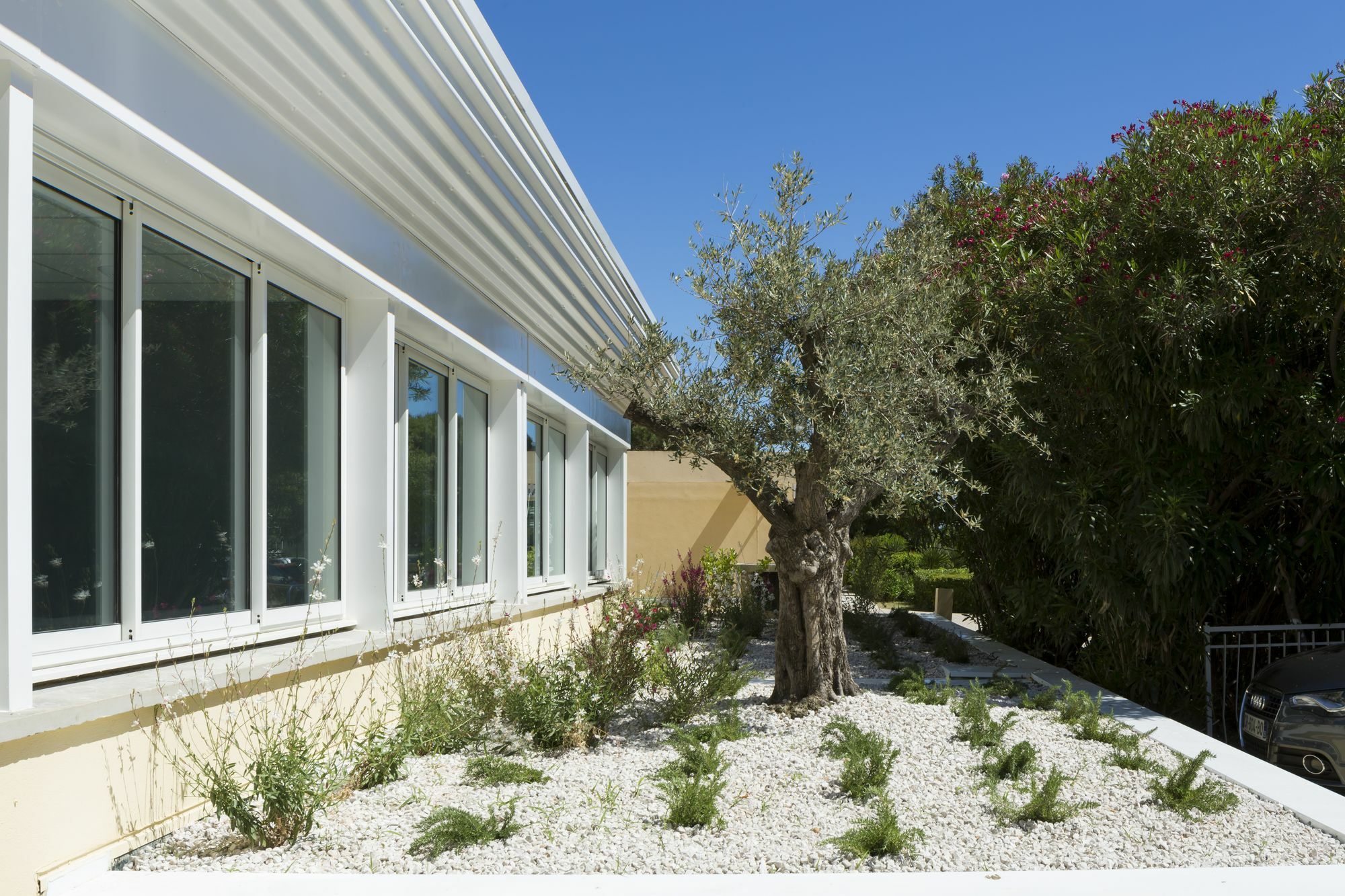 Logis Hotel Les Pins - Operalia Balaruc-les-Bains Exterior photo